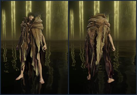 Fell omen cloak - A cloak of ragged fur worn about the exposed of Margit, the Fell Omen. Having slaughtered countless champions during the Shattering , the Fell Omen has become a horror to those who harbor ambitions for the Erdtree , or for Lordship. 
